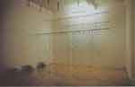 Mona Hatoum