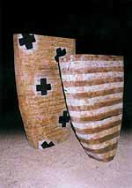 Strijdom van der Merwe