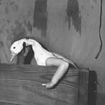 Roger Ballen