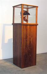 Wim Botha