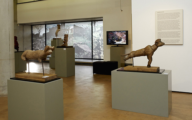 Installation view of A New Jerusalem