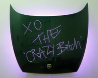 'X The Crazy Bitch' from the Revenge Series