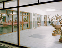 Taxidermist, Graaff-Reinet, September 2011