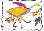 Xgaiga Qhomatca