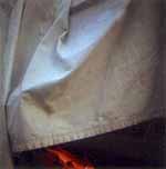 Lien Botha