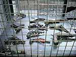 Apartheid Museum