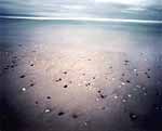 Patricia Driscoll