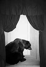 Jo Ractliffe