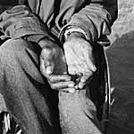 David Goldblatt