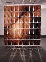 Brenton Maart