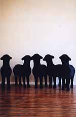 Sanell Aggenbach