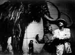 The Handspring Puppet Company