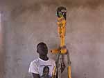 Handspring Puppet Company