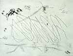 Willem Boshoff