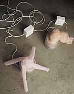 Nicola Grobler