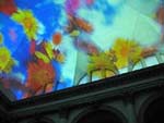 Pipilotti Rist