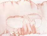 Berni Searle