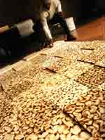 Sandile Zulu