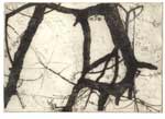 Robert Kirchner