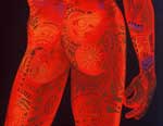 Andrew Verster