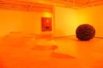 Ouattara Watts and Andy Goldsworthy