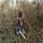 Pieter Hugo