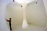 Ernesto Neto