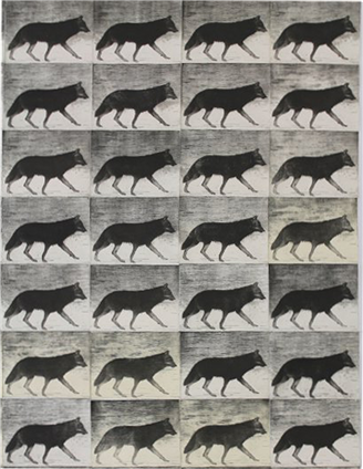 Wolf at the door (installation detail)