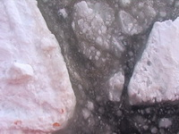 Study for Solaris