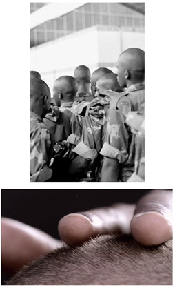 3SAI: A Rite Of Passage