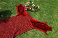 LOLOVE, Rockville, Soweto, Johannesburg, Gauteng