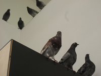 Others (detail) 