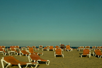 Paradise. Las Palmas