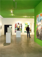 Installation shot ACG at  Brodie/Stevenson