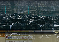 School evacuation radio active soil - Fukushima, Japan