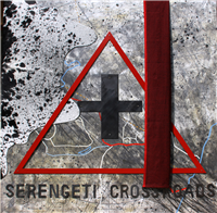 SERENGETI CROSSROADS (The Shepherd Principle Project 2011-2014)
