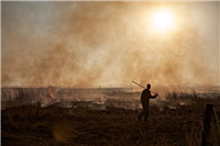 Slash and Burn 2