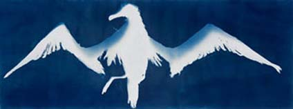 Flight