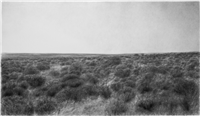 Karoo Alone III  