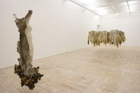 Emabutfo and Nandikeshvara installation view