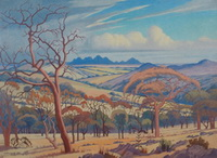 Extensive Landscape Northern Transvaal