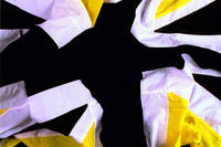 Flag of the Republic of Diaspora