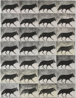 Wolf at the door (installation detail)
