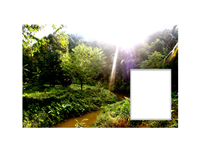 Elision (Jungle) - detail