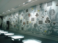 Wall of exhibition