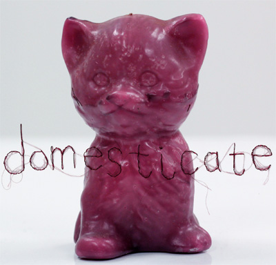 Domesticate