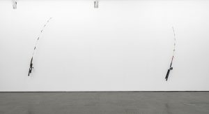 Ruann Coleman, 'Certain Lengths', 2017.  Installation view: SMAC Gallery